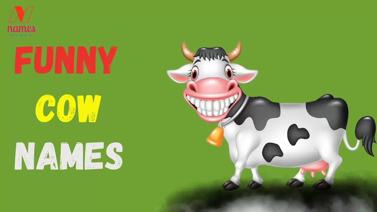 Funny Cow Names: Moo-tastic Laughter Galore!
