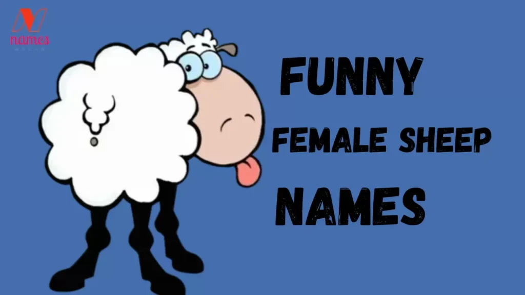 Funny Female Sheep Names