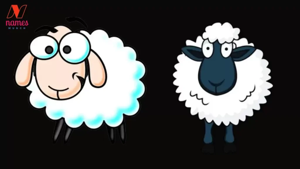Funny Sheep Names (With Meanings)
