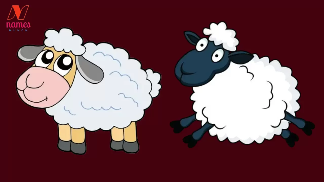 Funny Sheep Names (Cute But Hilarious)