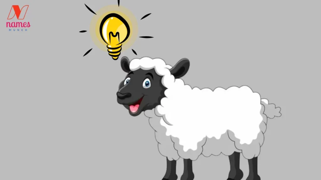 Hysterical Ideas for Funny Sheep Names