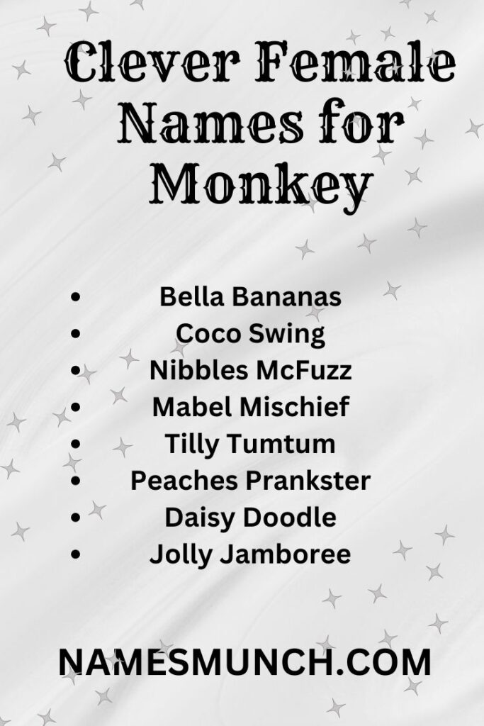 Clever Female Names for Monkey