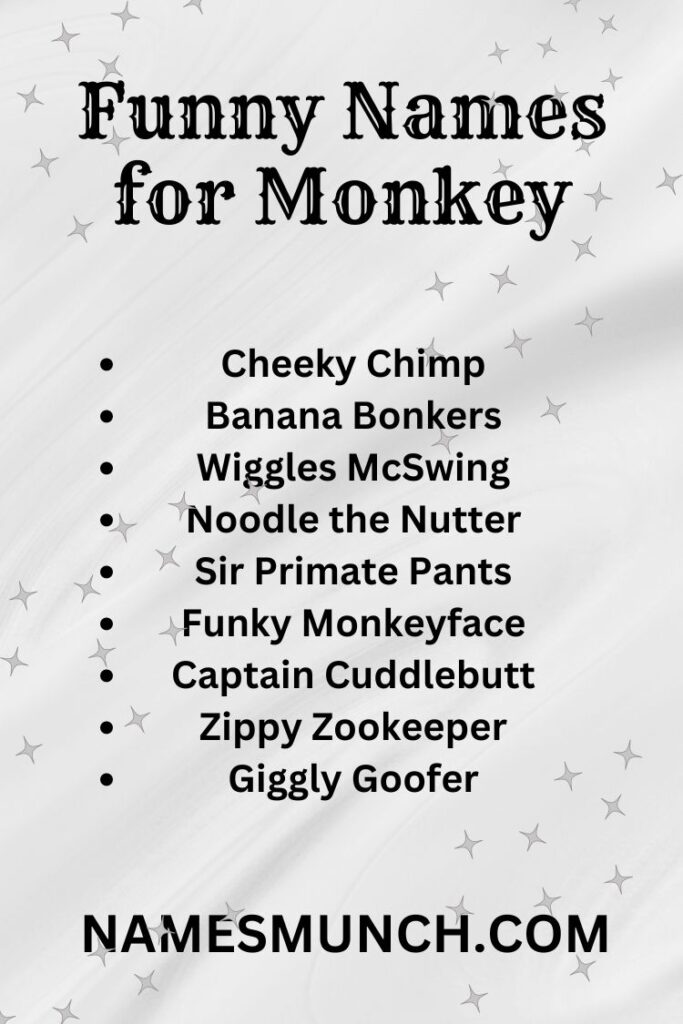 Funny Names for Monkey To Make You Laugh