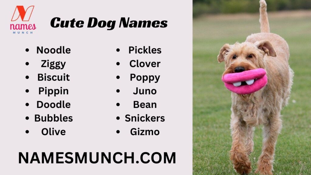 Cute Dog Names