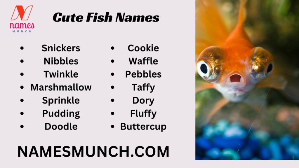 Cute Fish Names