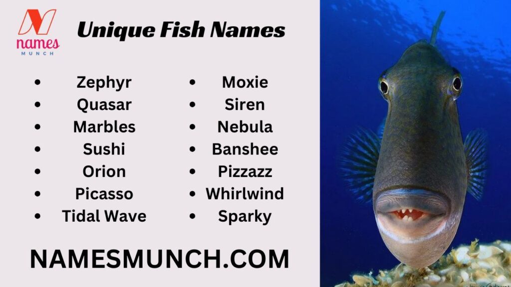 Unique Fish Names